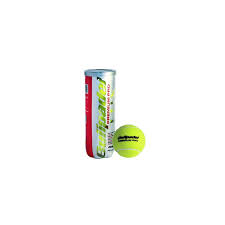 Tarro Pelotas Bullpadel Premium Pro
